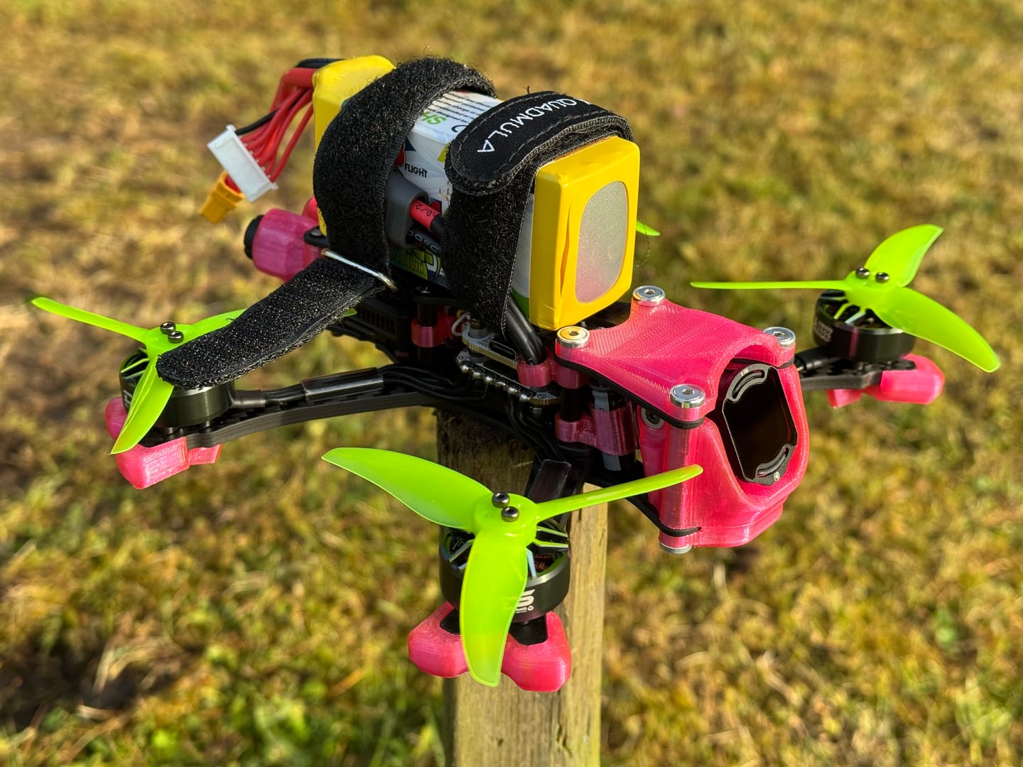 Customer photo review of SirenA F35