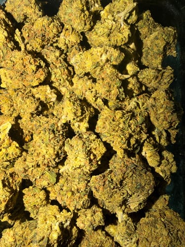 Grease Monkey - Bulk- Indica photo review