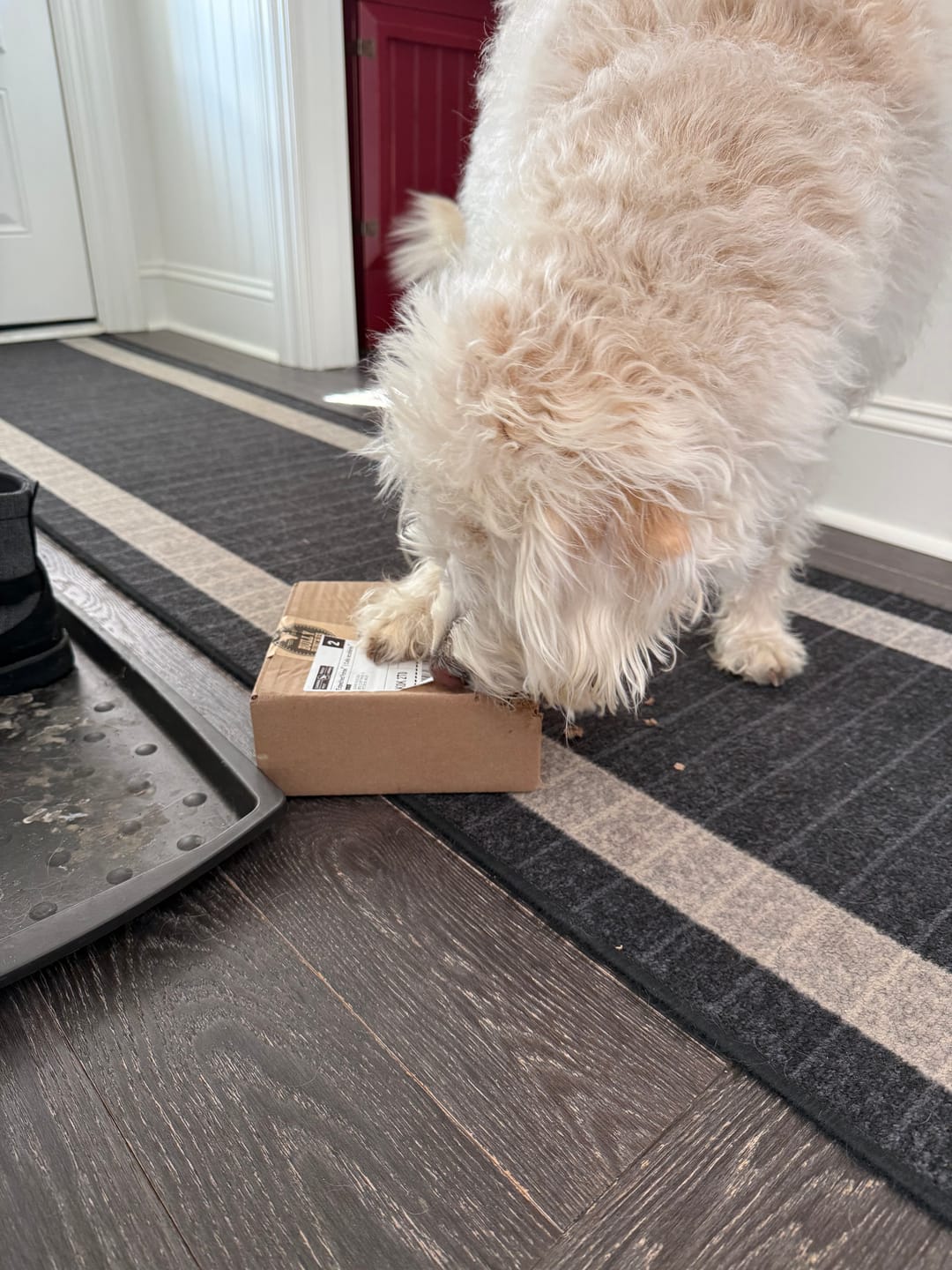 Customer photo review of 6 Inch Beef Jerky Stick