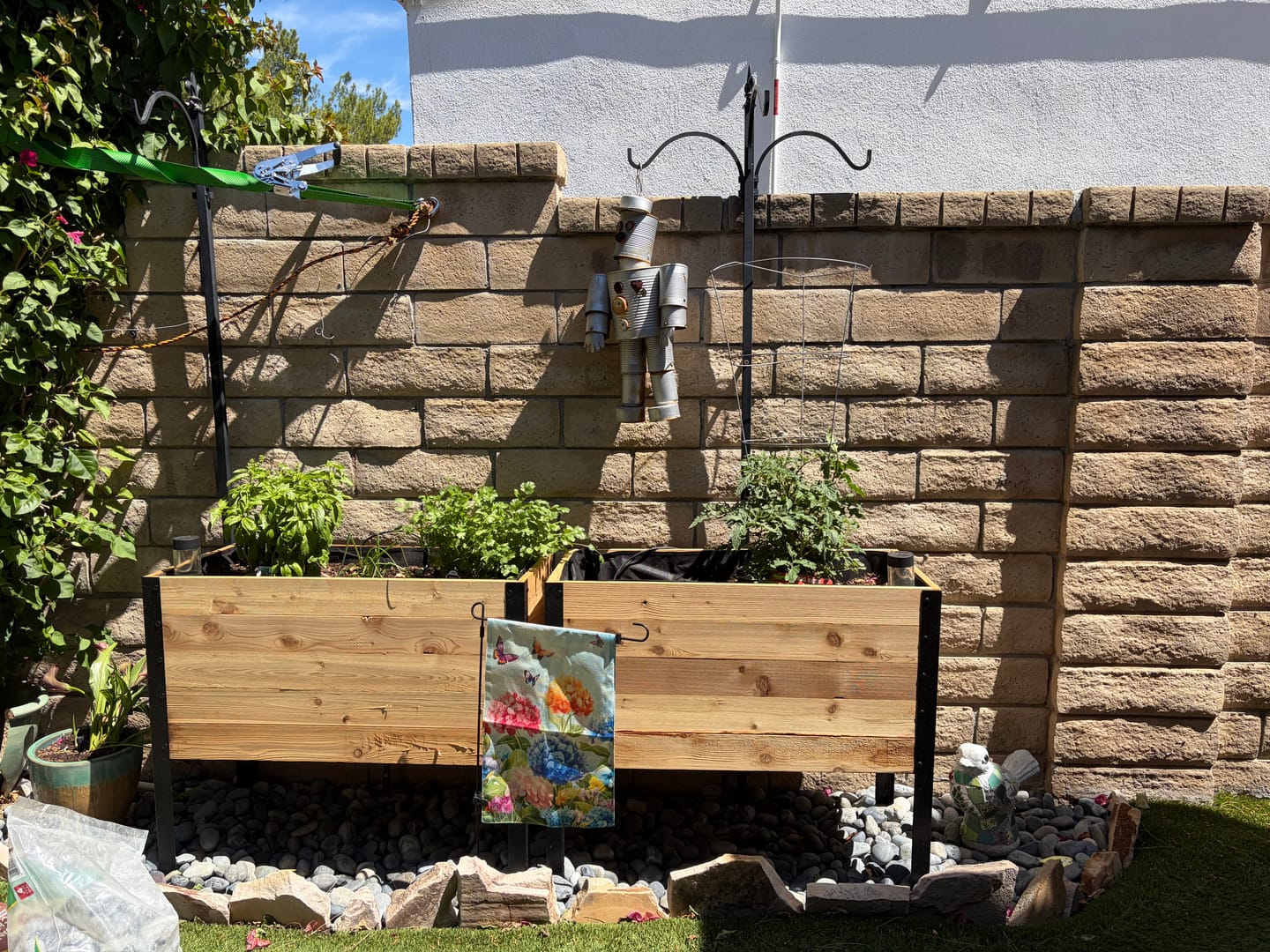 Customer photo review of 18" x 36" Raised Garden Bed - 30" TALL / Garden Grade