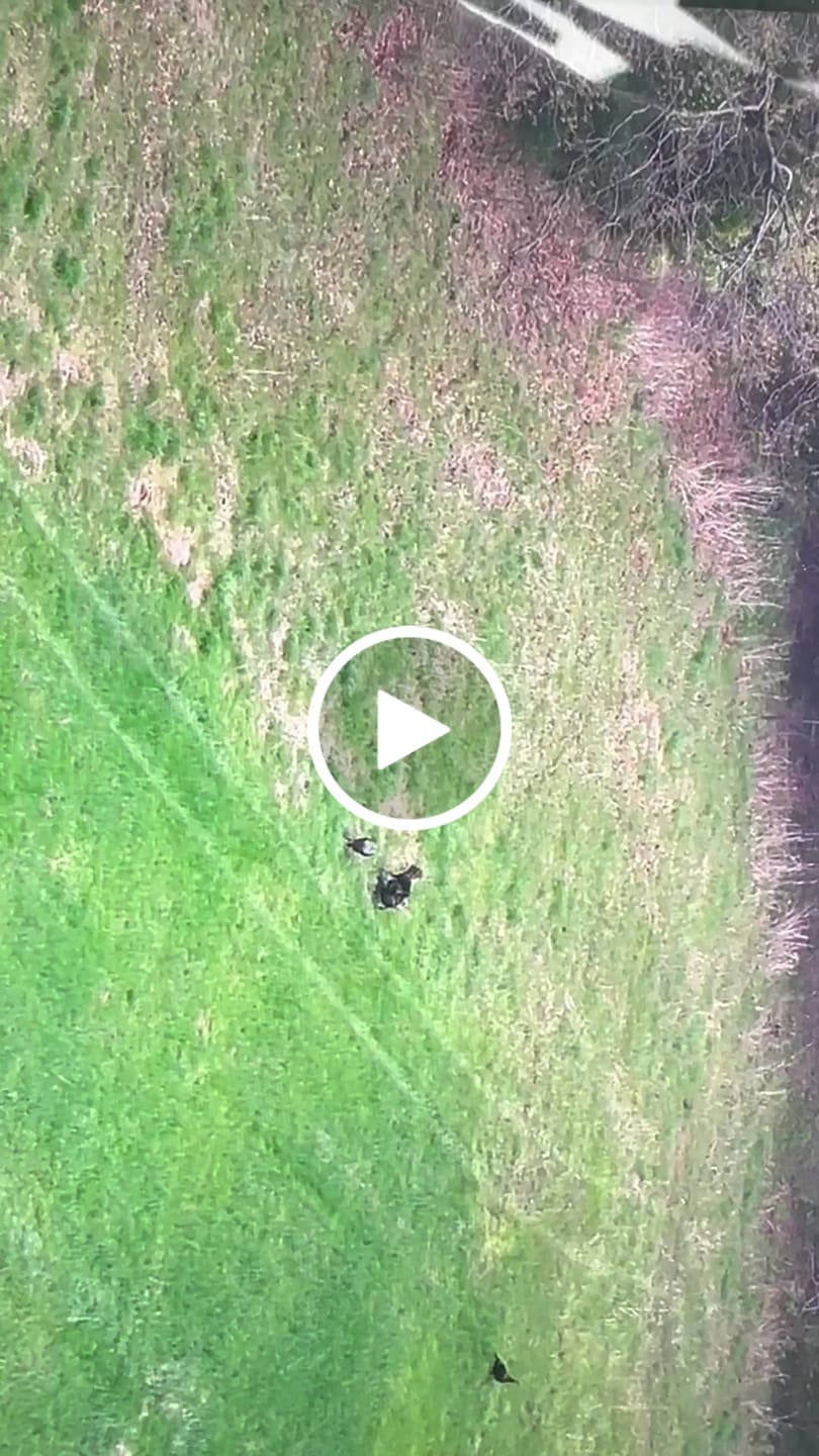 Customer video review of Matrice 4T Thermal Drone