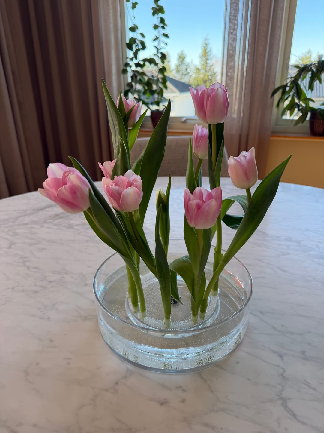 Customer photo review of Kenzan Ring 150 mm Acrylic Flower Frog