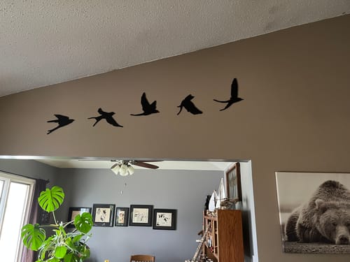 Customer photo review of Birds Wall Art