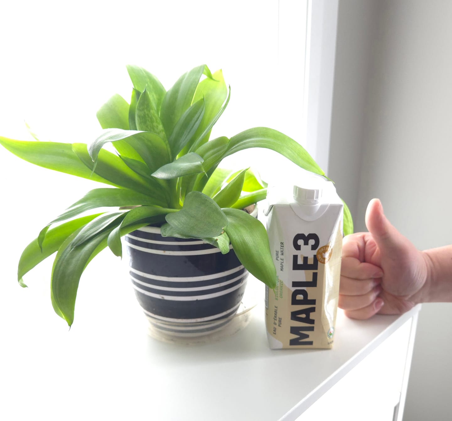 Customer photo review of Pure Organic Maple Water