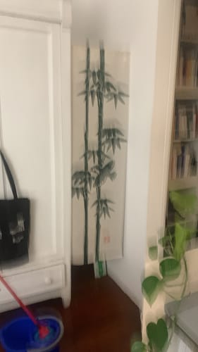 Customer photo review of Noren Giapponese - Beige Bambù