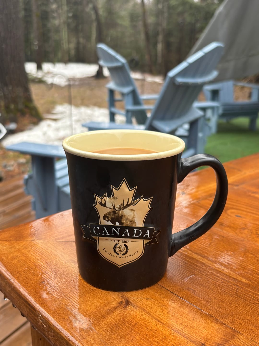Customer photo review of COSTA RICAN MONTECIELO COFFEE FROM TARRAZÚ