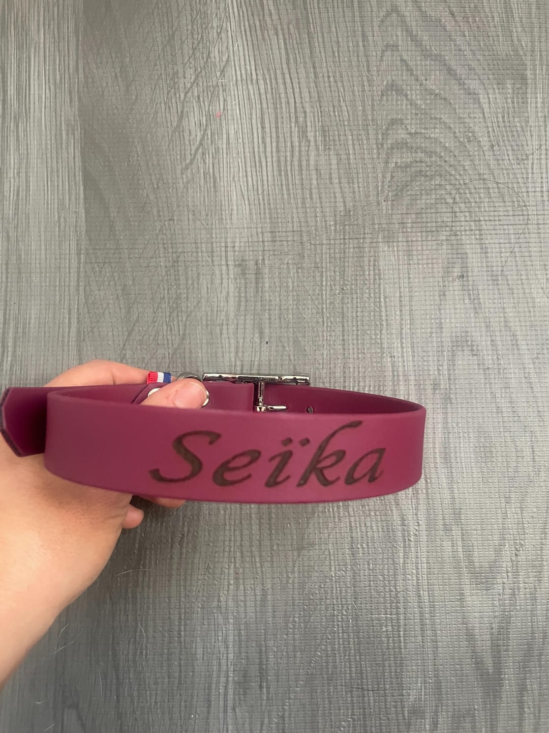Customer photo review of Collier Chien Personnalisé en Biothane® - Gravé à Vie & Étanche
