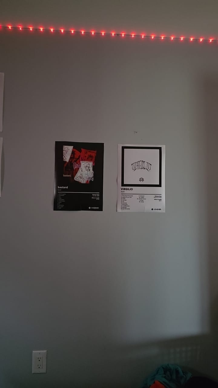 Customer photo review of bunii Album Posters
