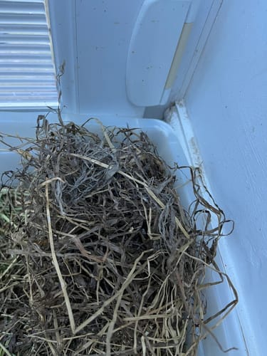 Customer photo review of Meadow Hay Box