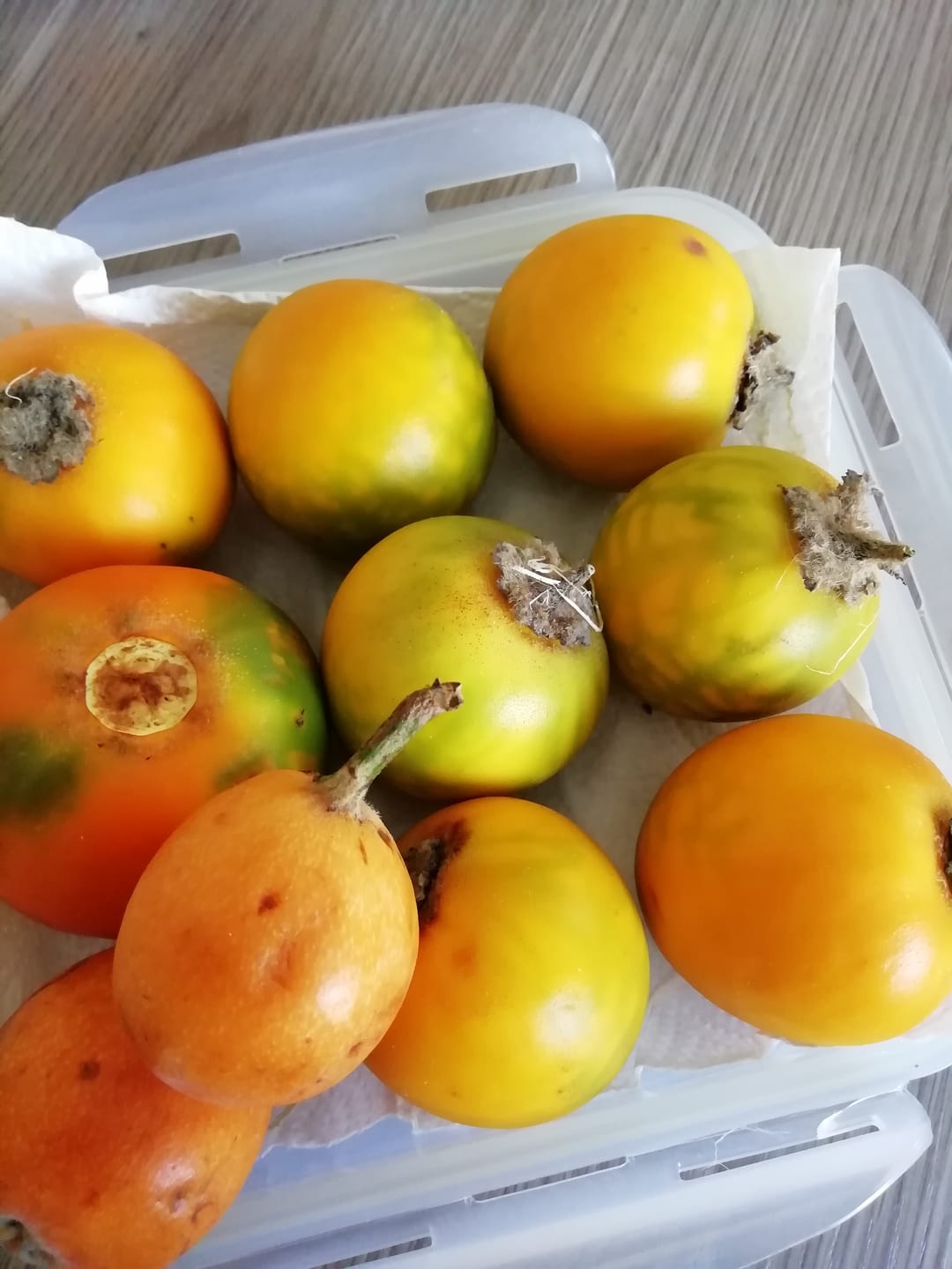 Customer photo review of Lulo (Naranjilla)