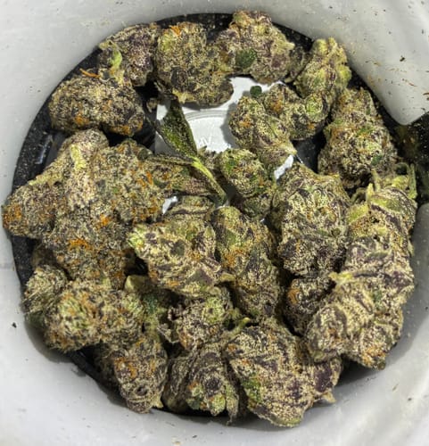 Customer photo review of Boutique Exotics - Yuzu Cherries - Minis - 14 Grams - Hybrid