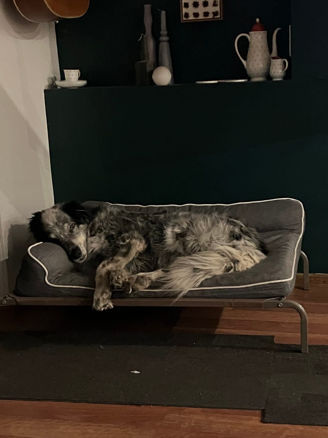 Customer photo review of Orthopedic Pet Bed Memory Foam With Cooling Gel