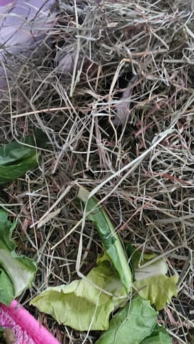 Customer photo review of Meadow Hay Box