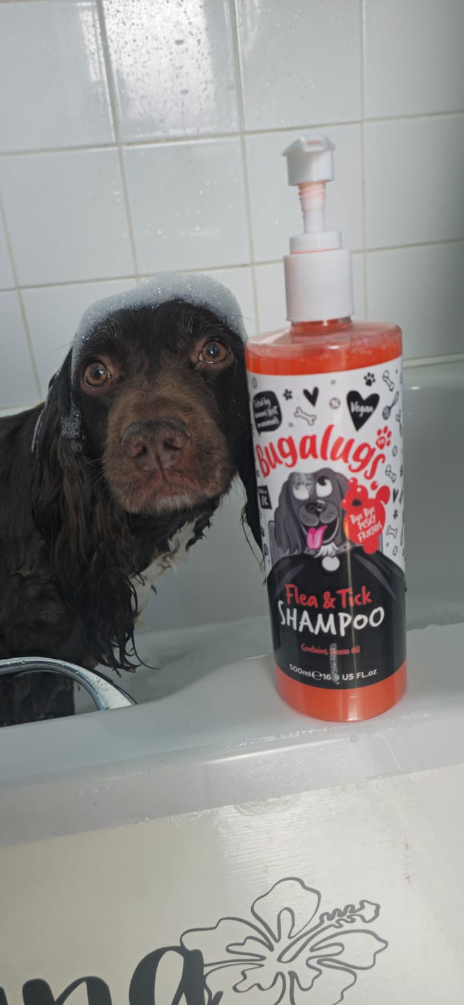Customer photo review of Flea and Tick Dog Shampoo with Neem Oil