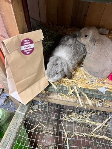 Customer photo review of Orchard Hay Box