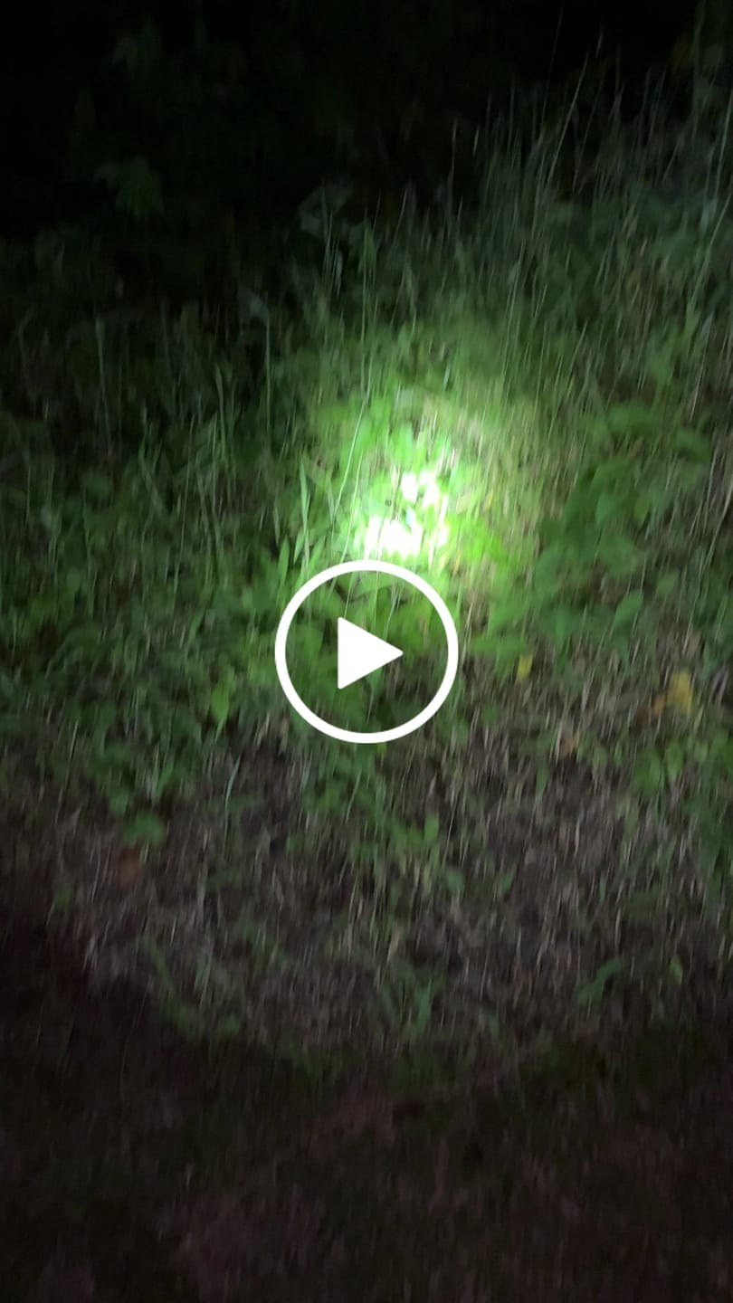 Customer video review of MH40 PRO - 3500 lumens