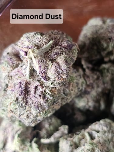 Customer photo review of Diamond Dust THCA Flower