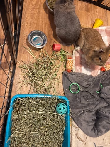 Customer photo review of Meadow Hay Box