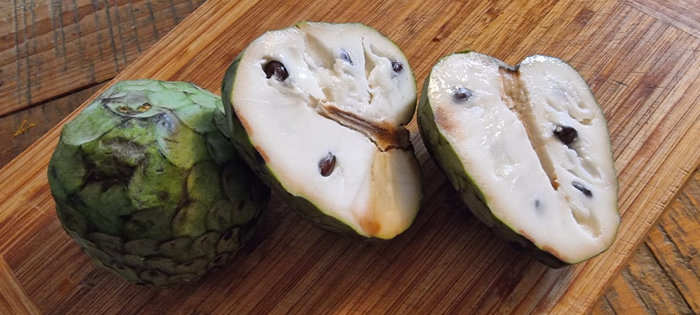 Customer photo review of Cherimoya Bio Hochernte-Retterbox Sonderaktion % 4kg
