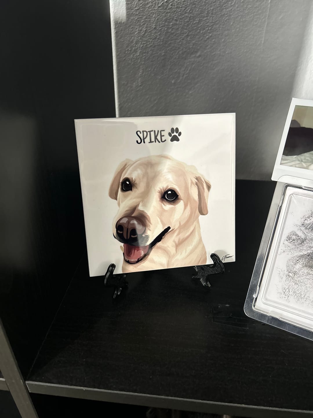 Customer photo review of Azulejo Retrato Colorido Personalizado