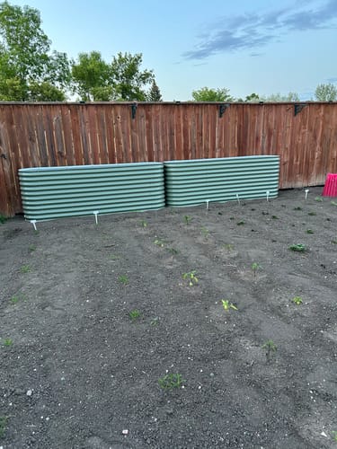 Customer's two long, green 17” Tall Modular garden beds set up in a garden against a wooden fence.