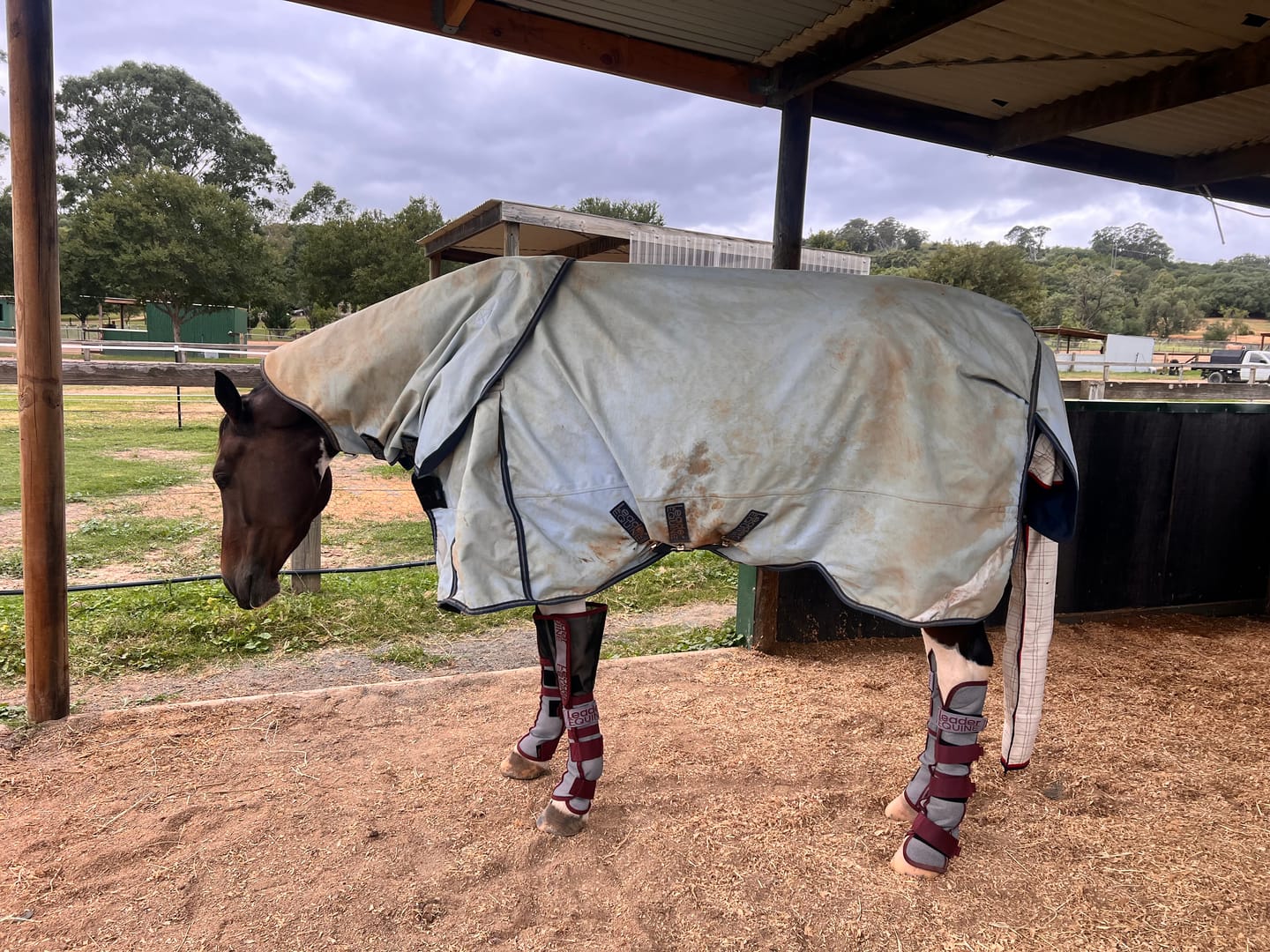 Customer photo review of LE Defender Fly Boots