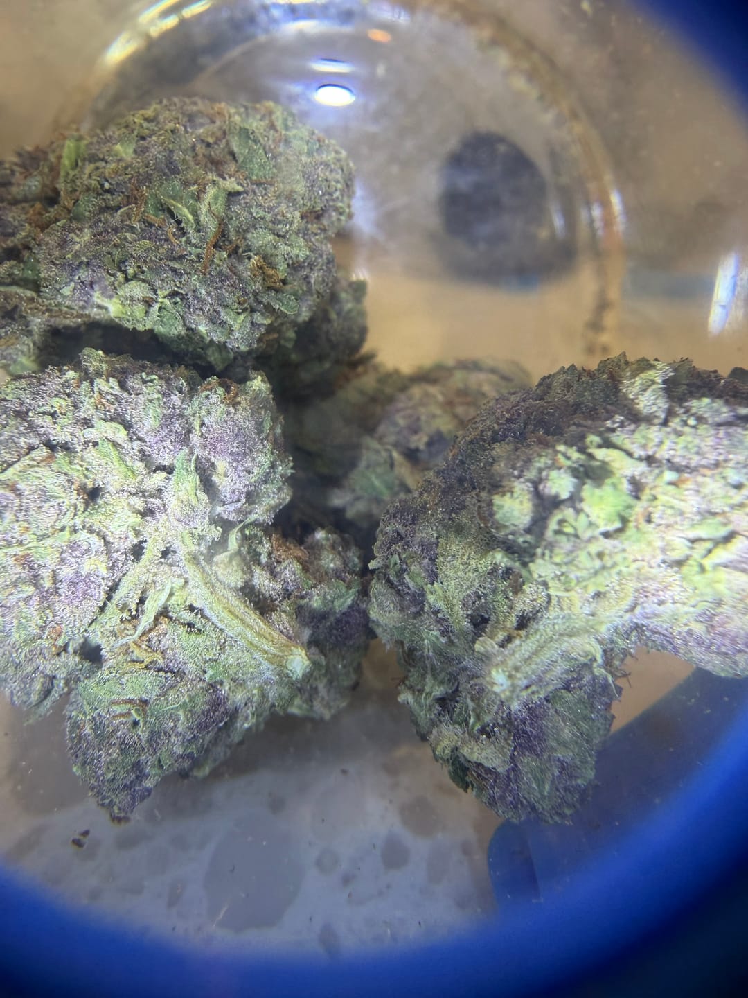 Customer photo review of Alien OG - Minis - 14 Grams - Indica
