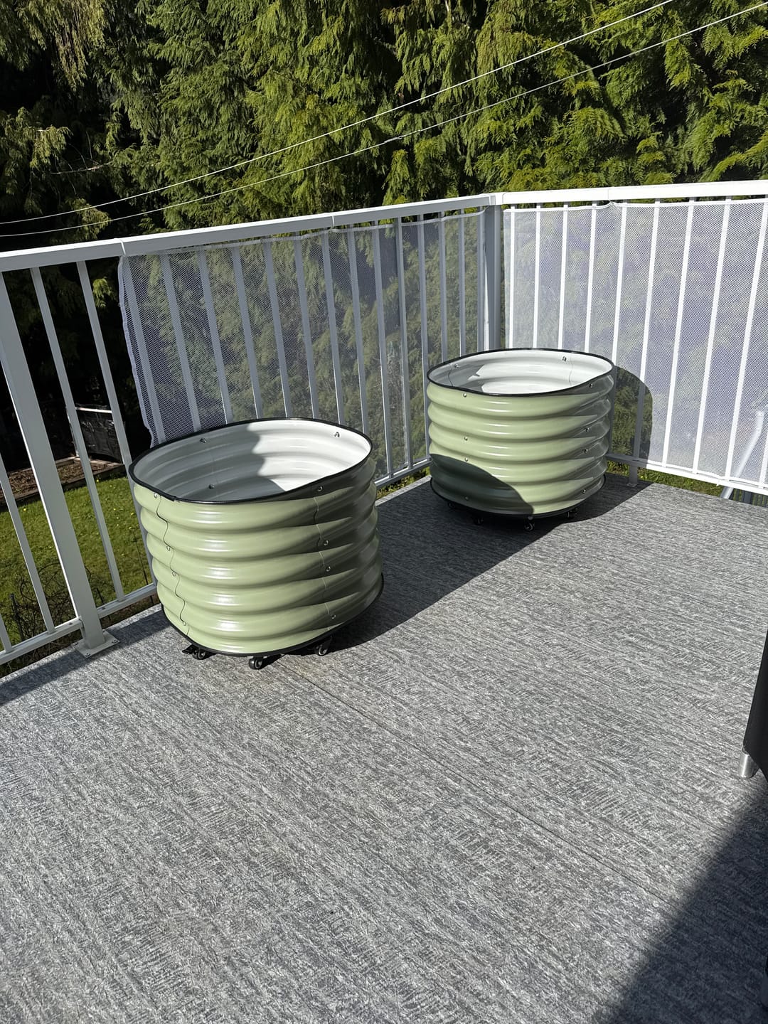 Customer photo review of 17" Tall Rolling Planter