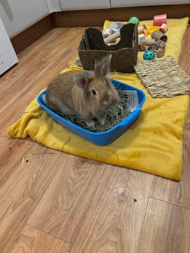 Customer photo review of Meadow Hay Box