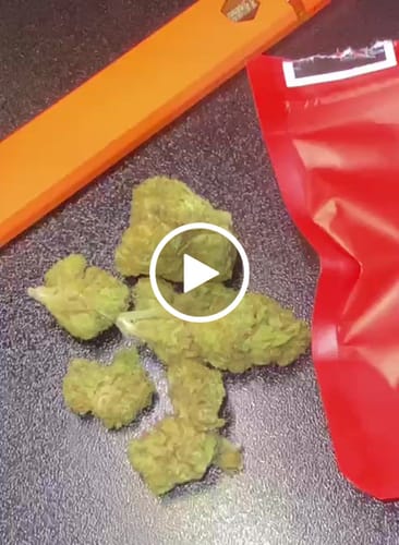 Customer video review of Happy Weedz (CALI) THCA Flower