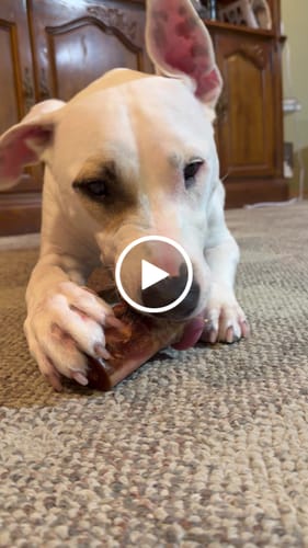 Customer video review of Smoked Beef Marrow Bone