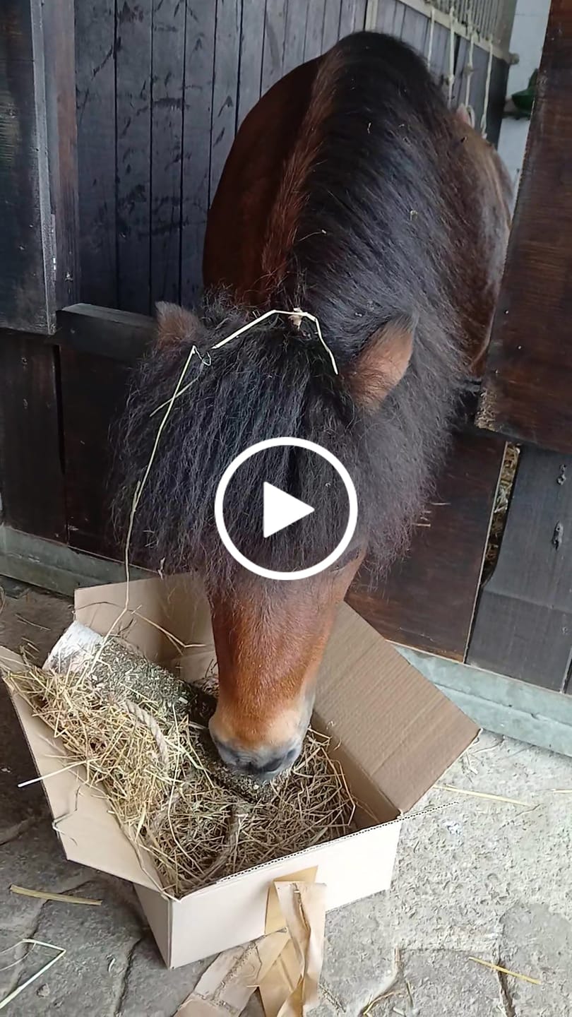 Customer video review of Stoffwechsel-Klotz