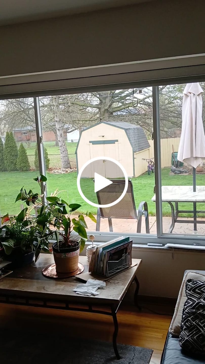 Customer video review of SmartWings Motorized Roller Shades 100% Blackout Safari