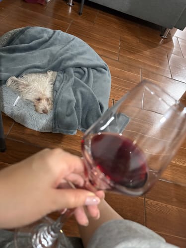 El perro de un cliente durmiendo en una cama gris, arropado con la Manta Relajante.