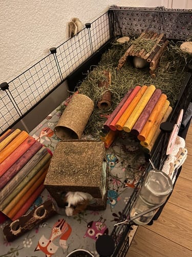 Customer photo review of Orchard Hay Box