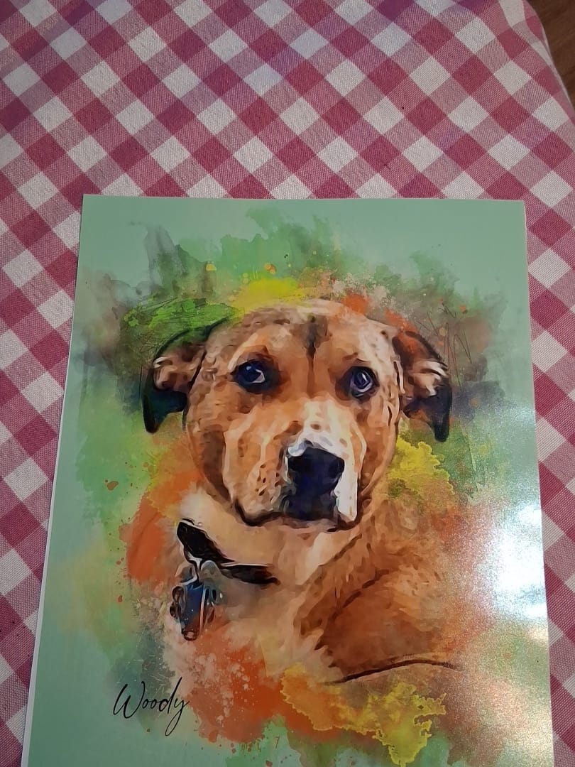 Customer photo review of Watercolor Pet Portrait Wall Art