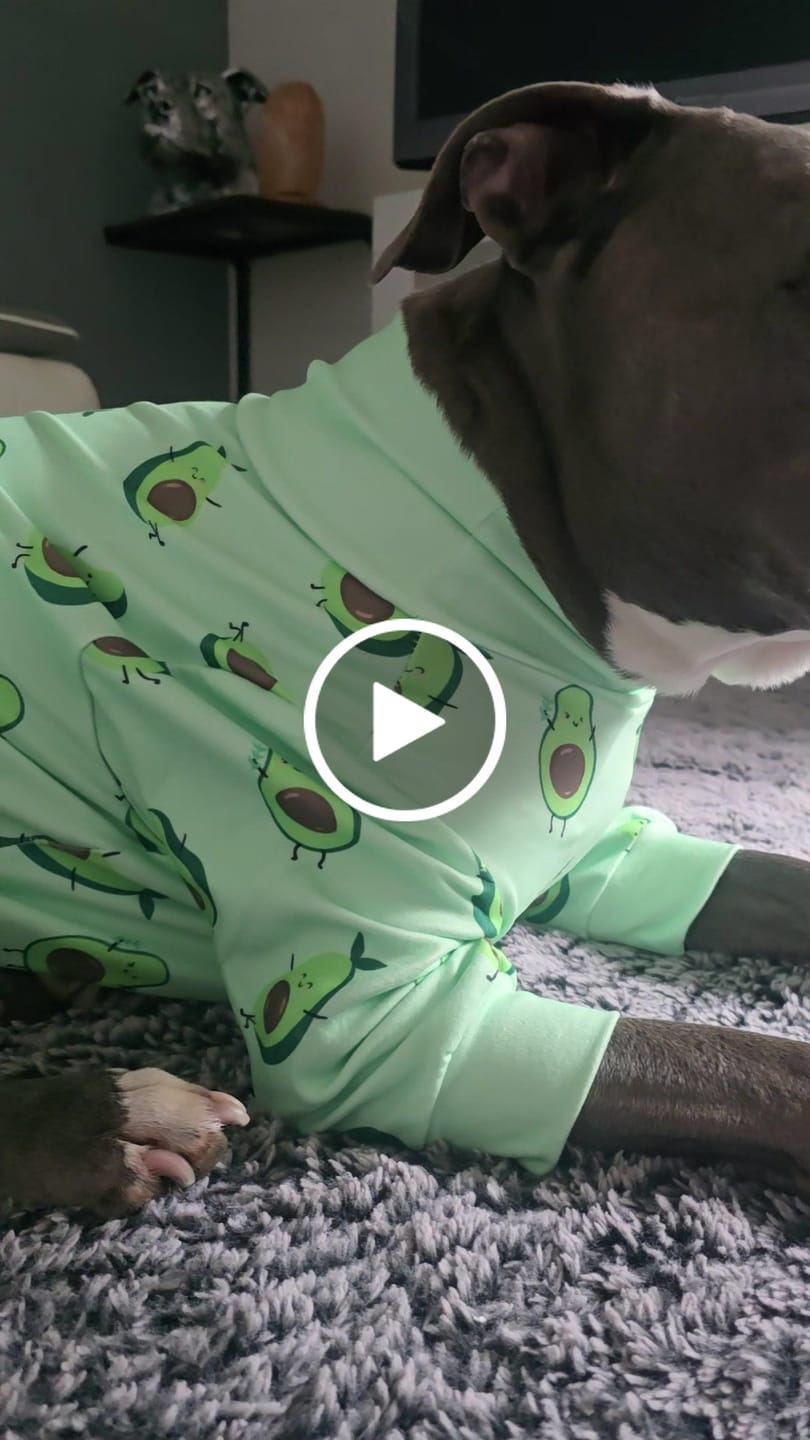 Customer video review of Dog Pajama - Avocado