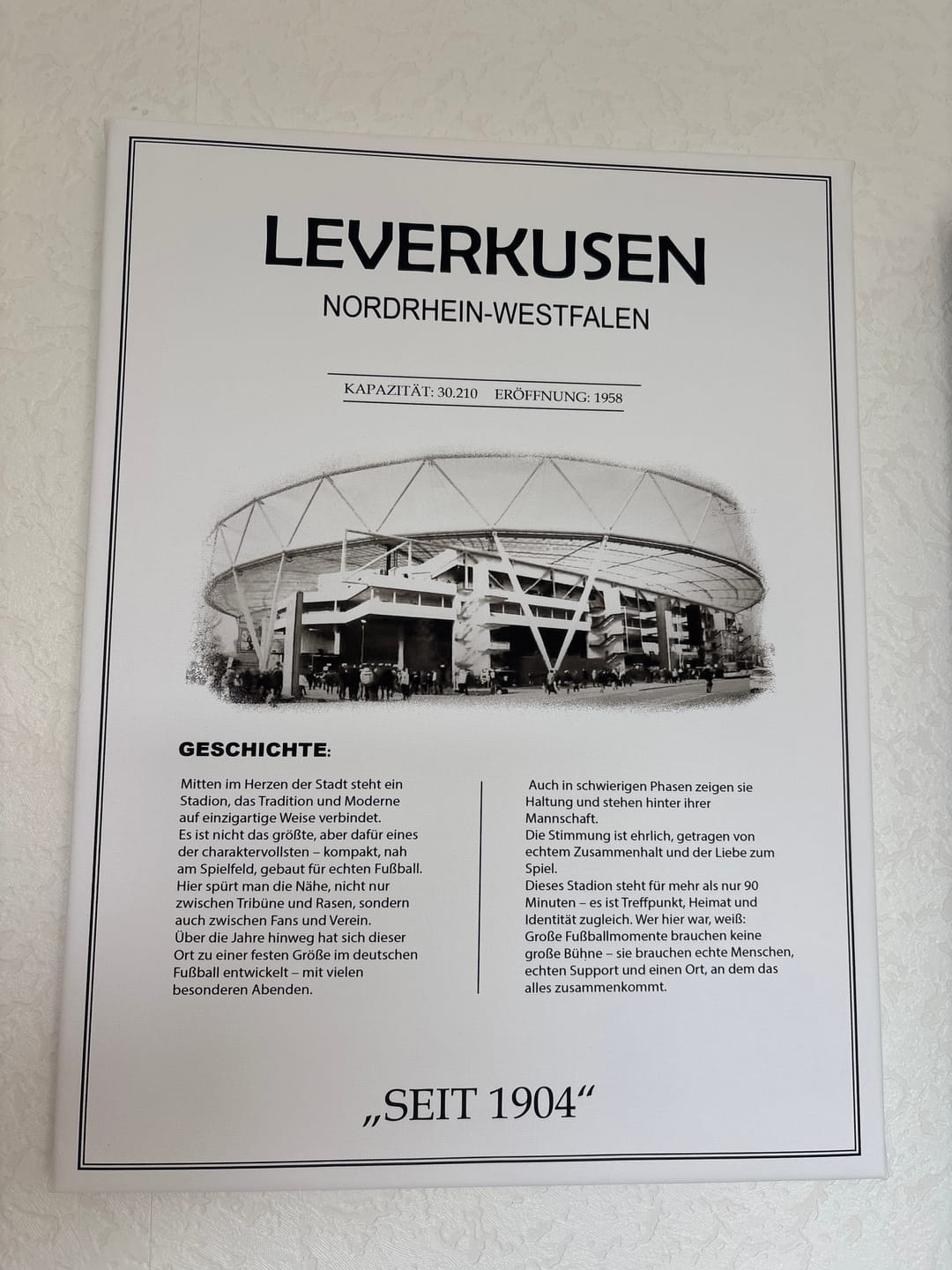 Customer photo review of Leverkusen Stadion Leinwand