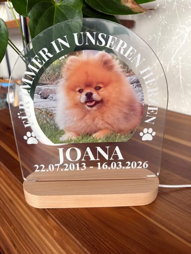 Customer photo review of Für immer in unseren Herzen – LED-Lampe für Hund/Katze