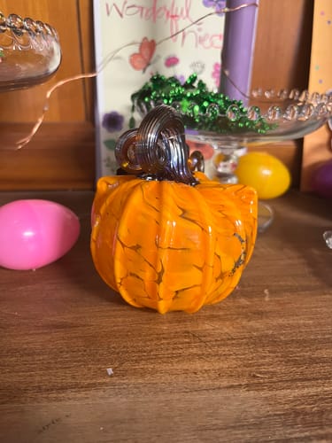 Customer photo review of Daily Catkin 30