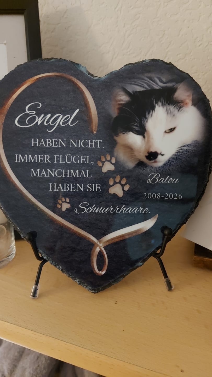 Customer photo review of Personalisiertes Schieferherz - Engel haben Schnurrhaare