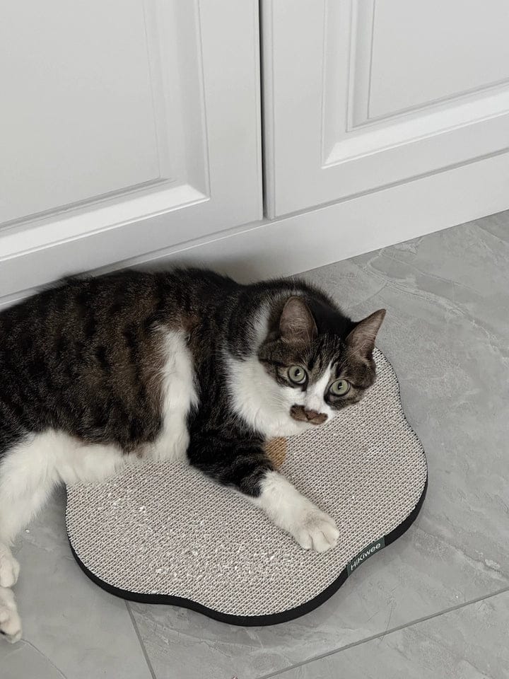 Customer photo review of Flower-Shaped, Connectable, Non-Shedding Plant Pulp Cat Scratching Pad