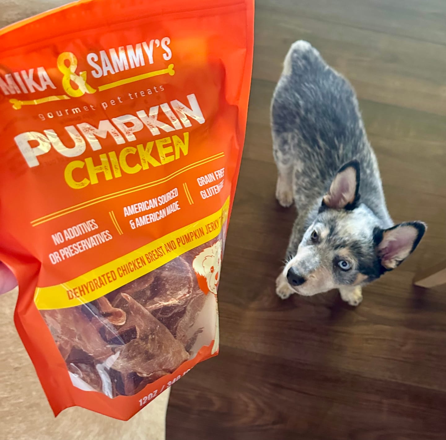 Customer photo review of Pumpkin Chicken