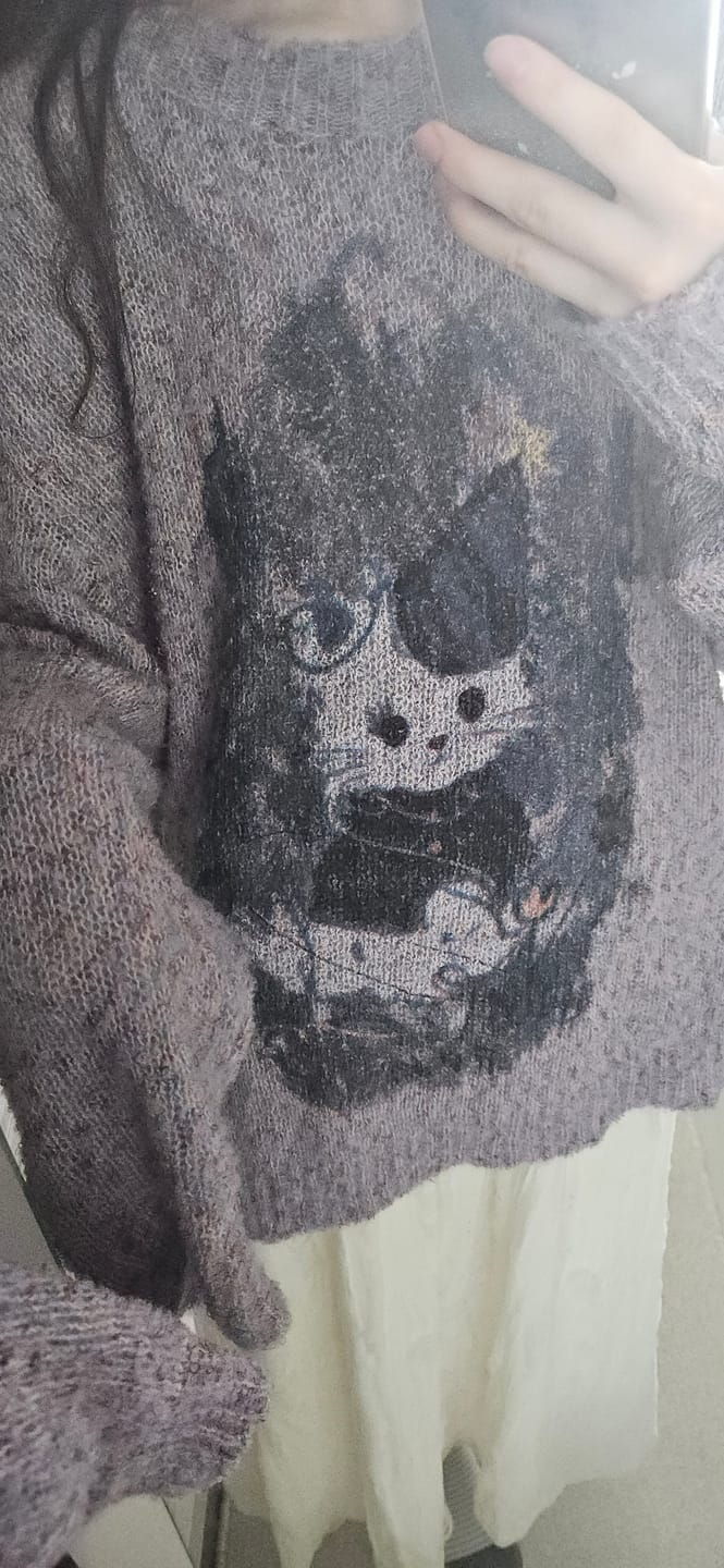 Customer photo review of Colorful Graphic Pullover Knitwear Top