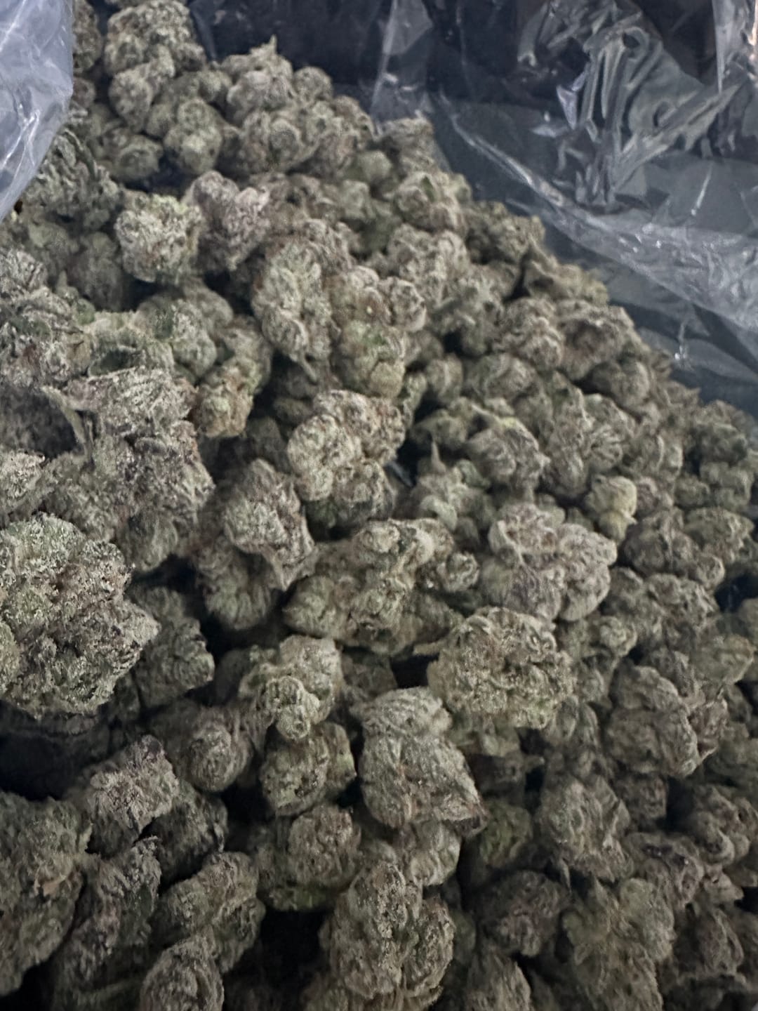 Customer photo review of Boutique Exotics Lemon Dior - Bulk - Hybrid
