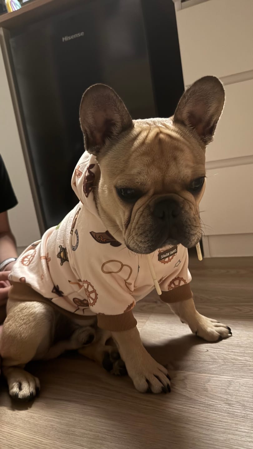 Customer photo review of Dog Hoodie Prints