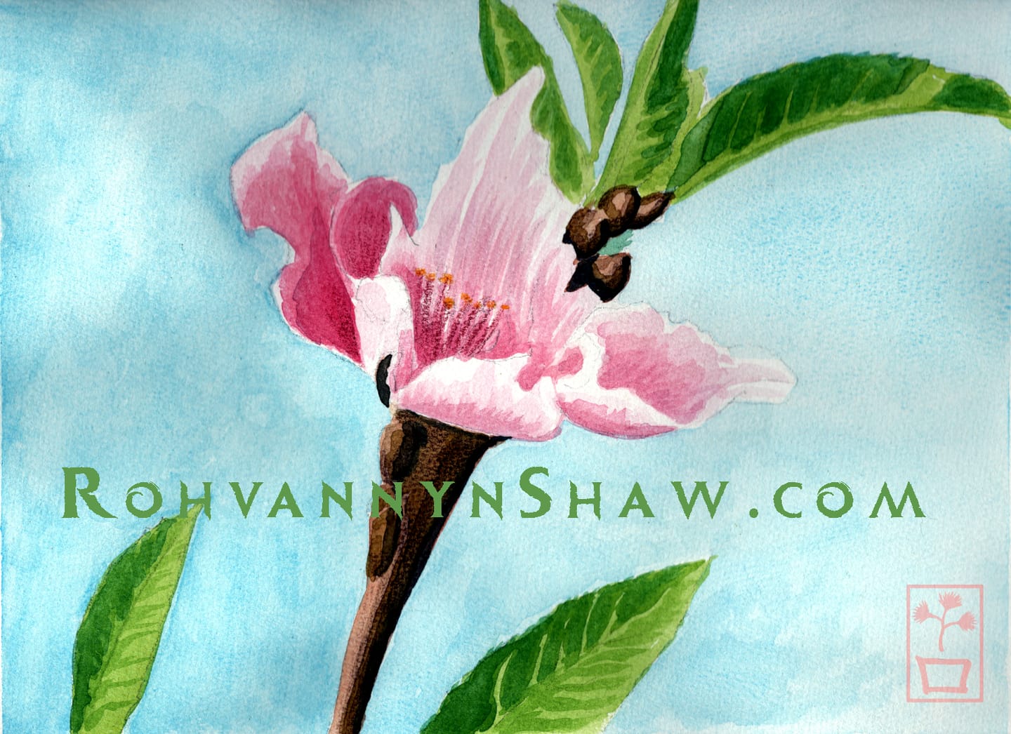 Customer photo review of Ohuhu Wailua Cotton-Top Watercolor Pad