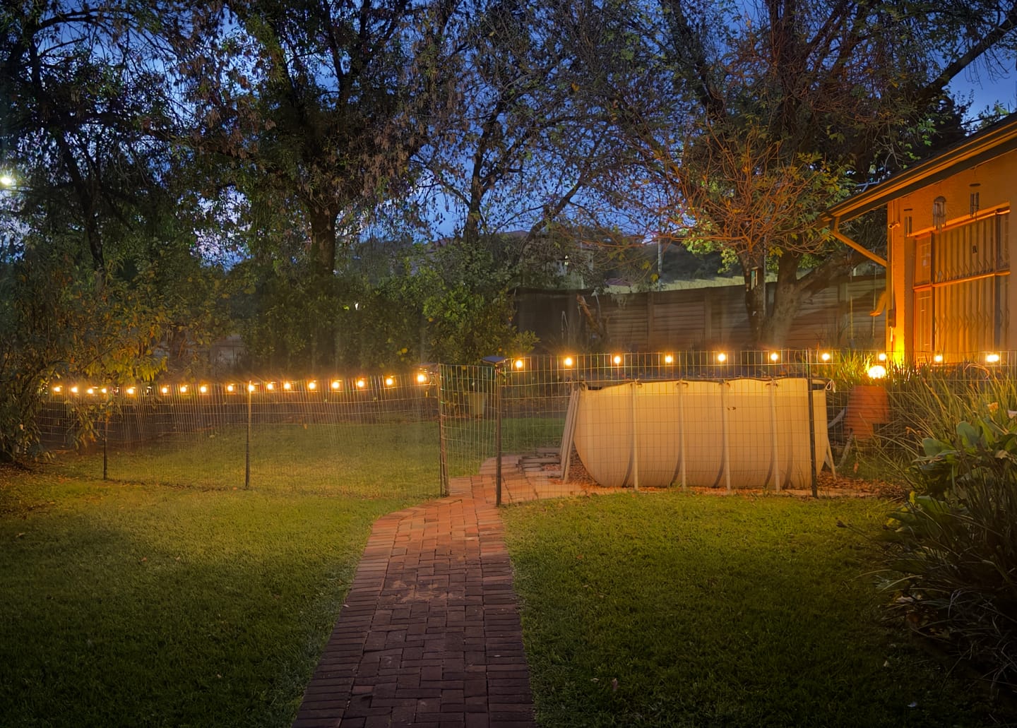Customer photo review of Solar Mini Bulb String Lights