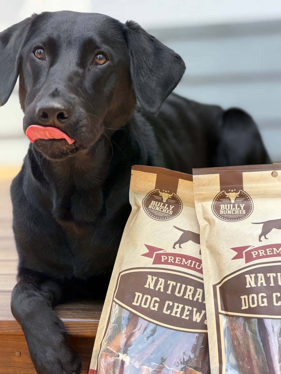 Customer photo review of 10-12 Inch Champion Chew
