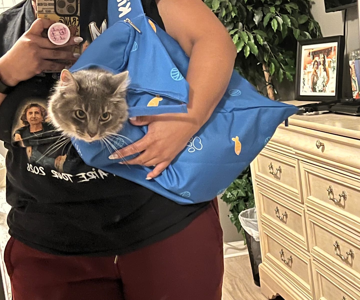 Customer photo review of Kitastic Cat Carrier